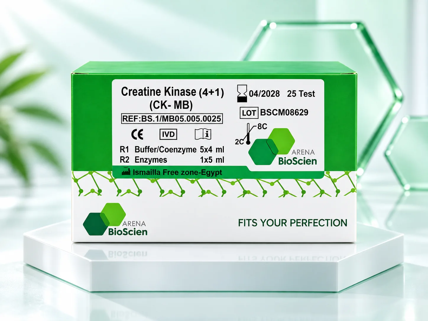 Creatine Kinase – MB (CK – MB)