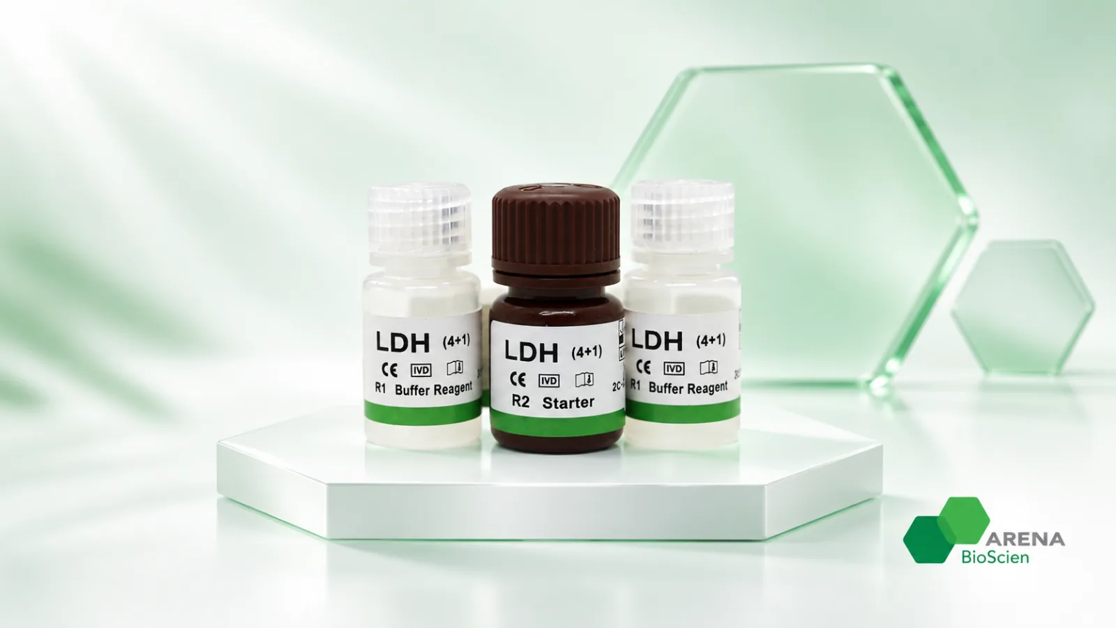 Arena BioScien LDH reagent kit