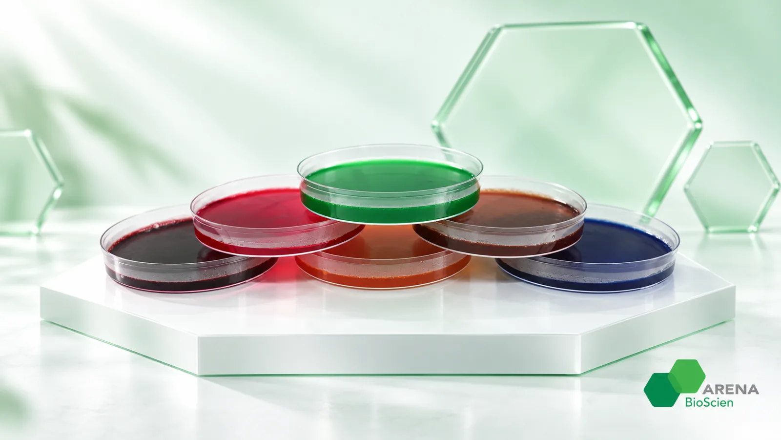 Prepared culture media plates in red, green, brown and blue